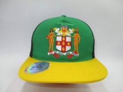 Jamaica Plana Color